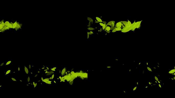 叶子树叶划过屏幕视频-alpha通道