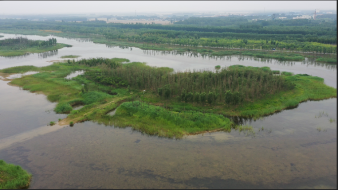 最新济南黄河湿地公园保护建设航拍