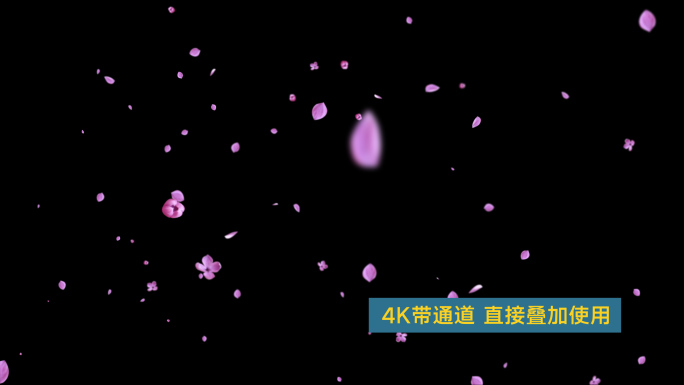 4K丁香花花瓣雨循环