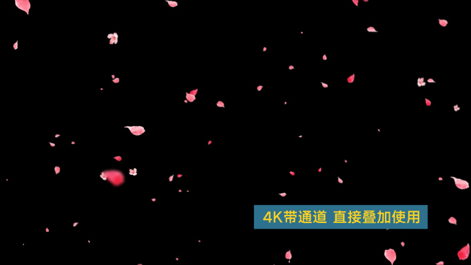4K手绘桃花飘4-循环