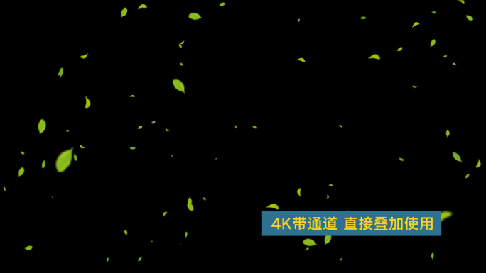 4K绿叶树叶飘-循环