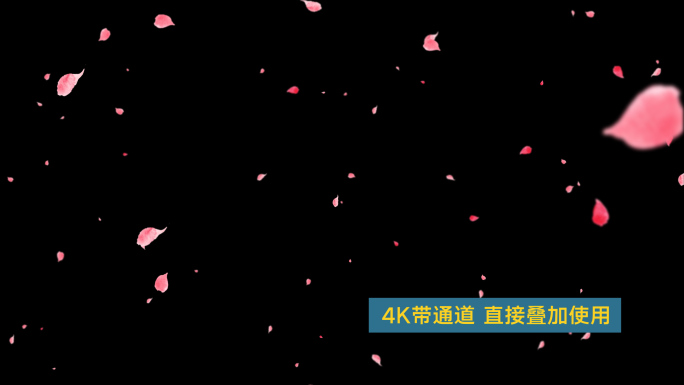 4K手绘桃花飘5-循环