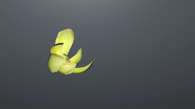 黄色花开模型动画C4D模板