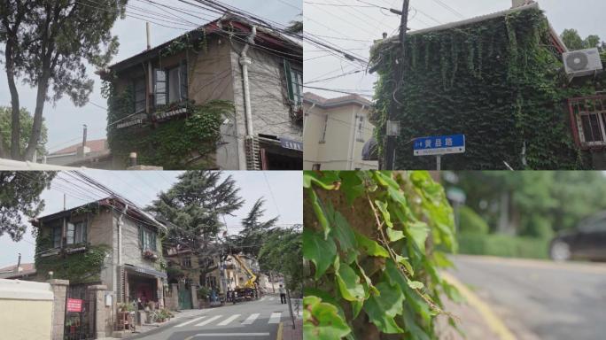 青岛大学路夏日