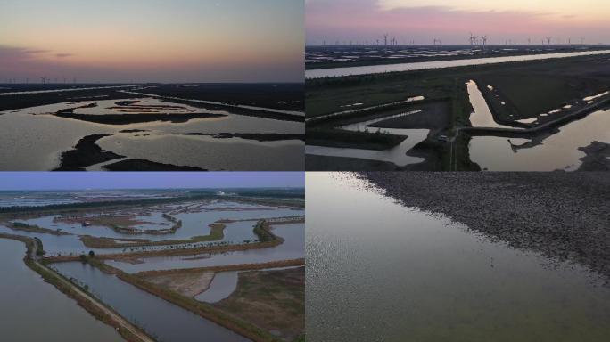 4K航拍黄海野鹿荡湿地自然保护区自然风光