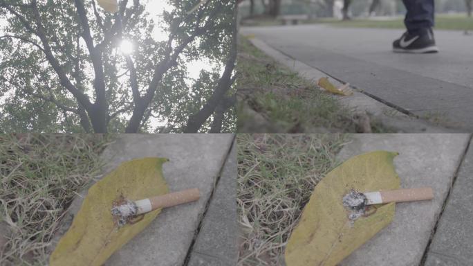 烟头点燃树叶
