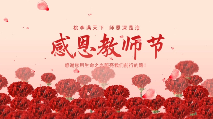 教师节AE模板