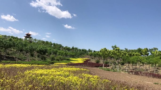 大学 高校 延时 空境 树林 河流