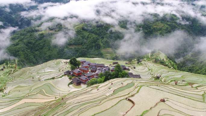 4K航拍贵州从江加榜梯田