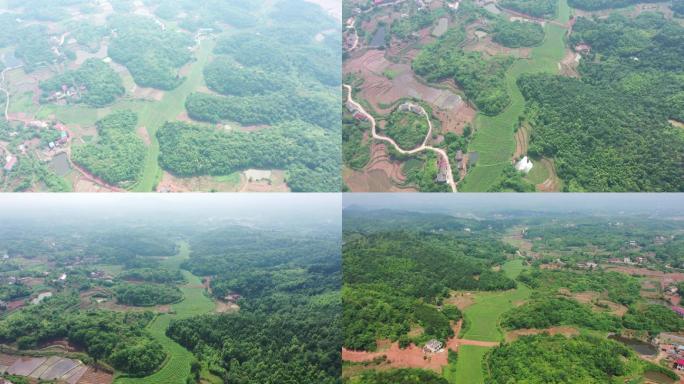 衡南航拍乡村航拍风景田地风光农村