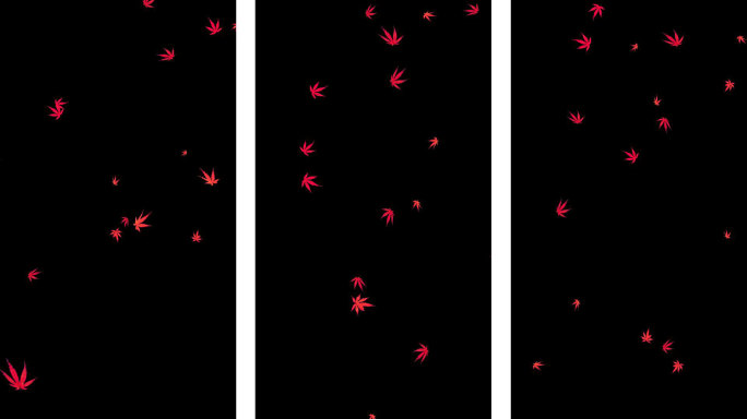 竖版红色枫叶飘落透明通道视频
