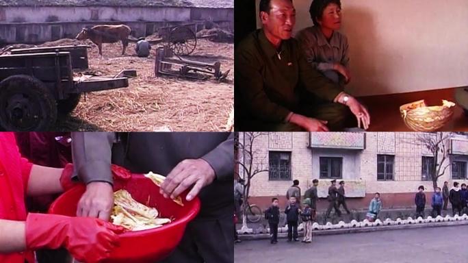 90年代朝鲜粮食危机