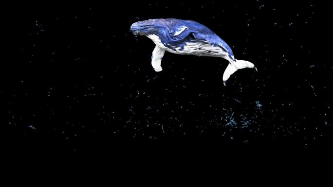 二次元鲸鱼