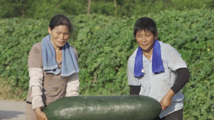 农民收获的喜悦大丰收