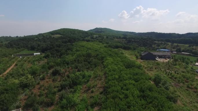 农村航拍小山村航拍绿水青山农田