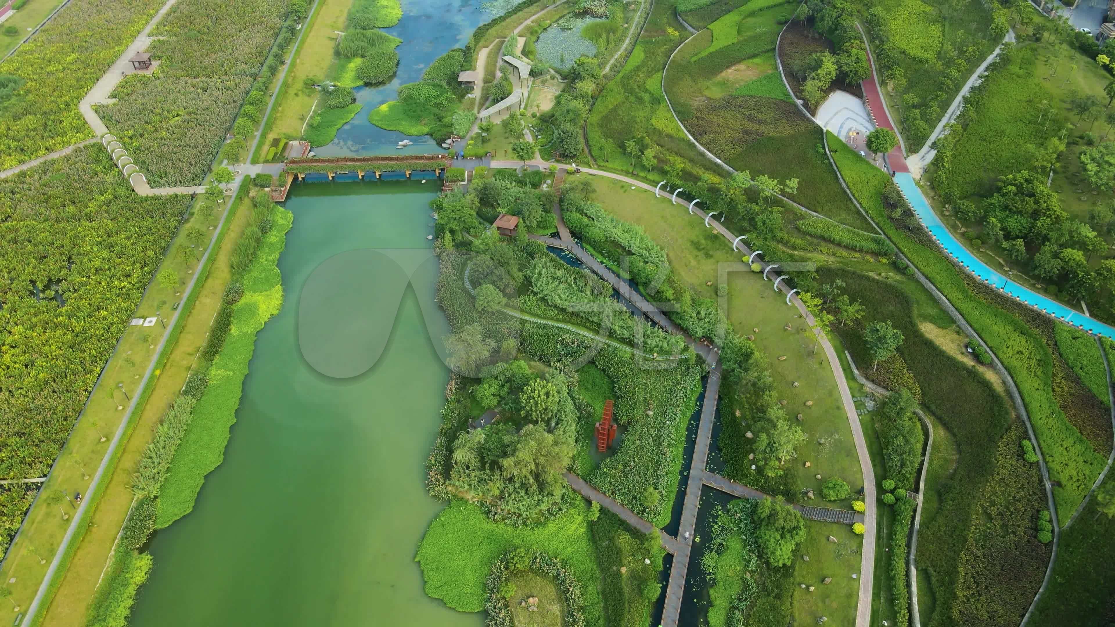 期待更多湿地公园开启免费模式 - 出行 - 民生网