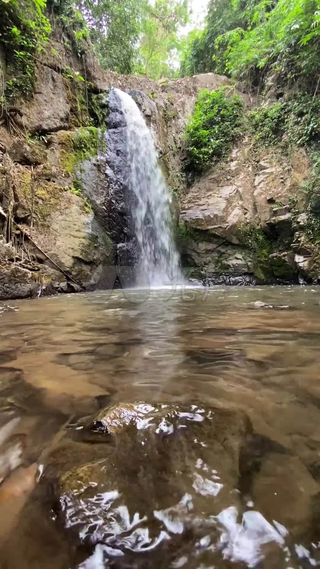 竖屏林中小型瀑布流水