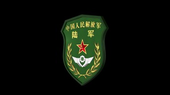 陸軍部隊3d臂章循環轉動動畫視頻素材