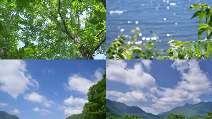 夏日风景 3840x2160 高清视频素材下载 编号 实拍视频 Vj师网www Vjshi Com