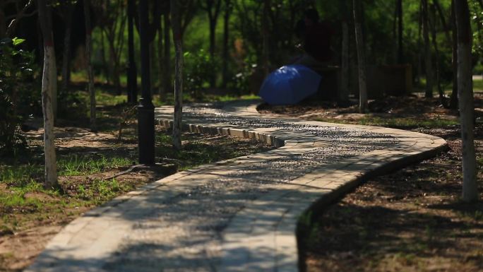 黄昏心情城市风光林间小路北塔湖风光宜居