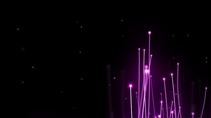 全息梦幻紫色粒子线条生长视频