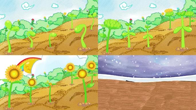 向日葵的生长故事