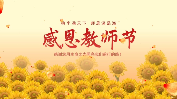 教师节AE模板-B