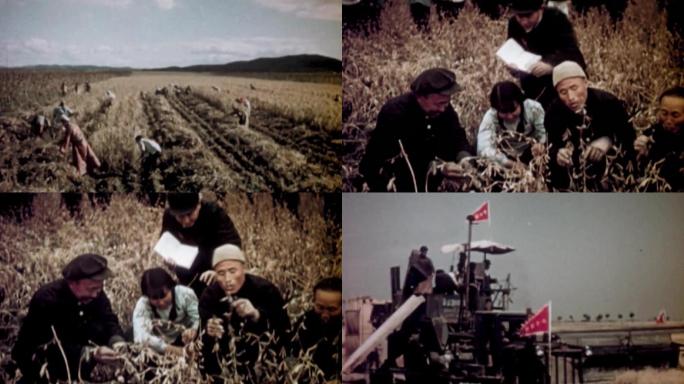 60-70年代农业收获