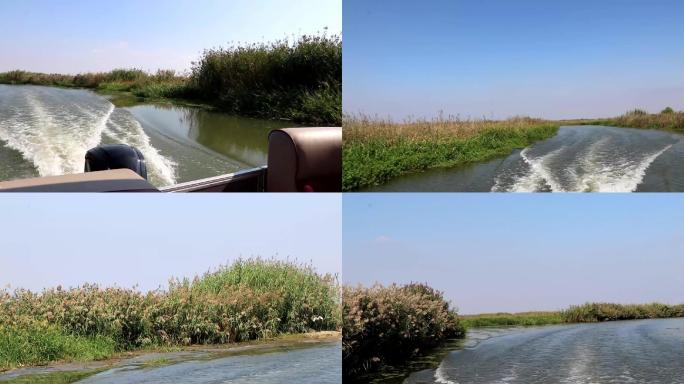 实拍九龙口芦苇荡船尾波浪荡口河水