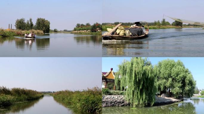 实拍九龙口芦苇荡白鹭水鸭荡口河水2