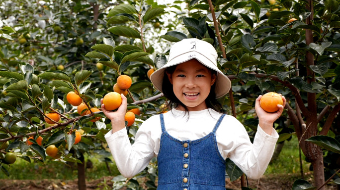 阳丰脆柿-柿子-微笑-小女孩-农民
