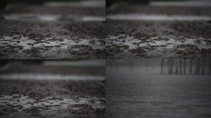 湿地雨季-4k视频（原创）