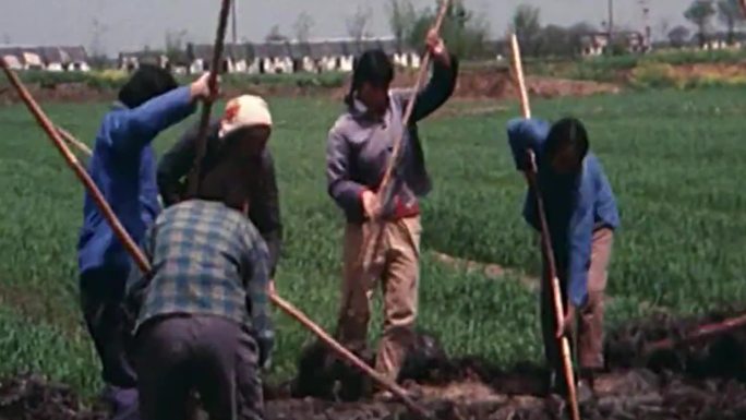 70年代农田、农民干活
