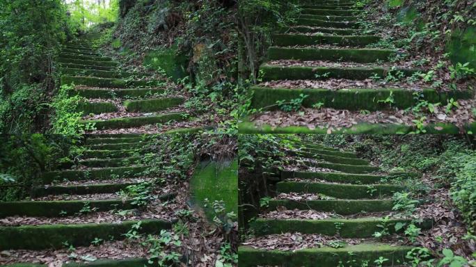 长满青苔的石板路