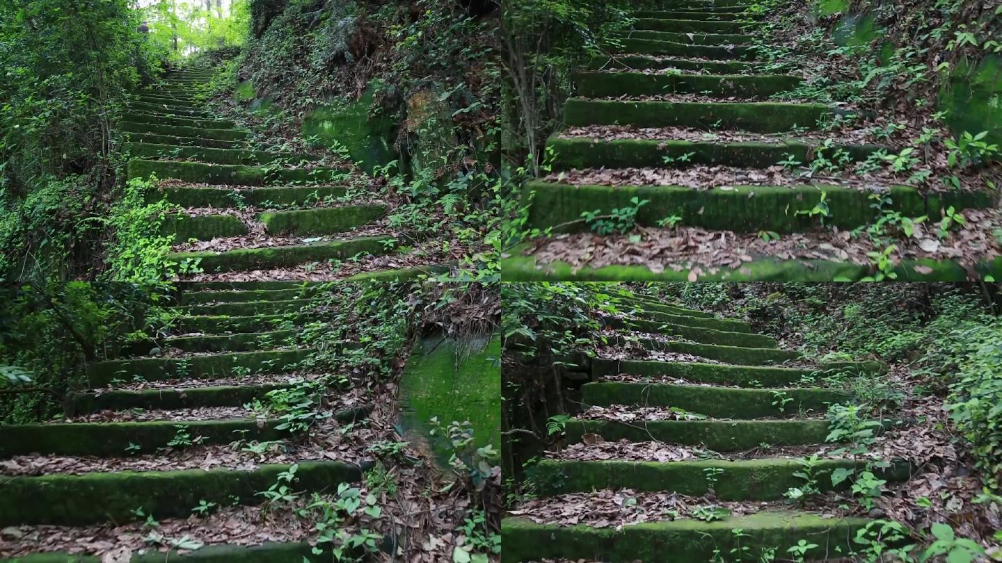 长满青苔的石板路