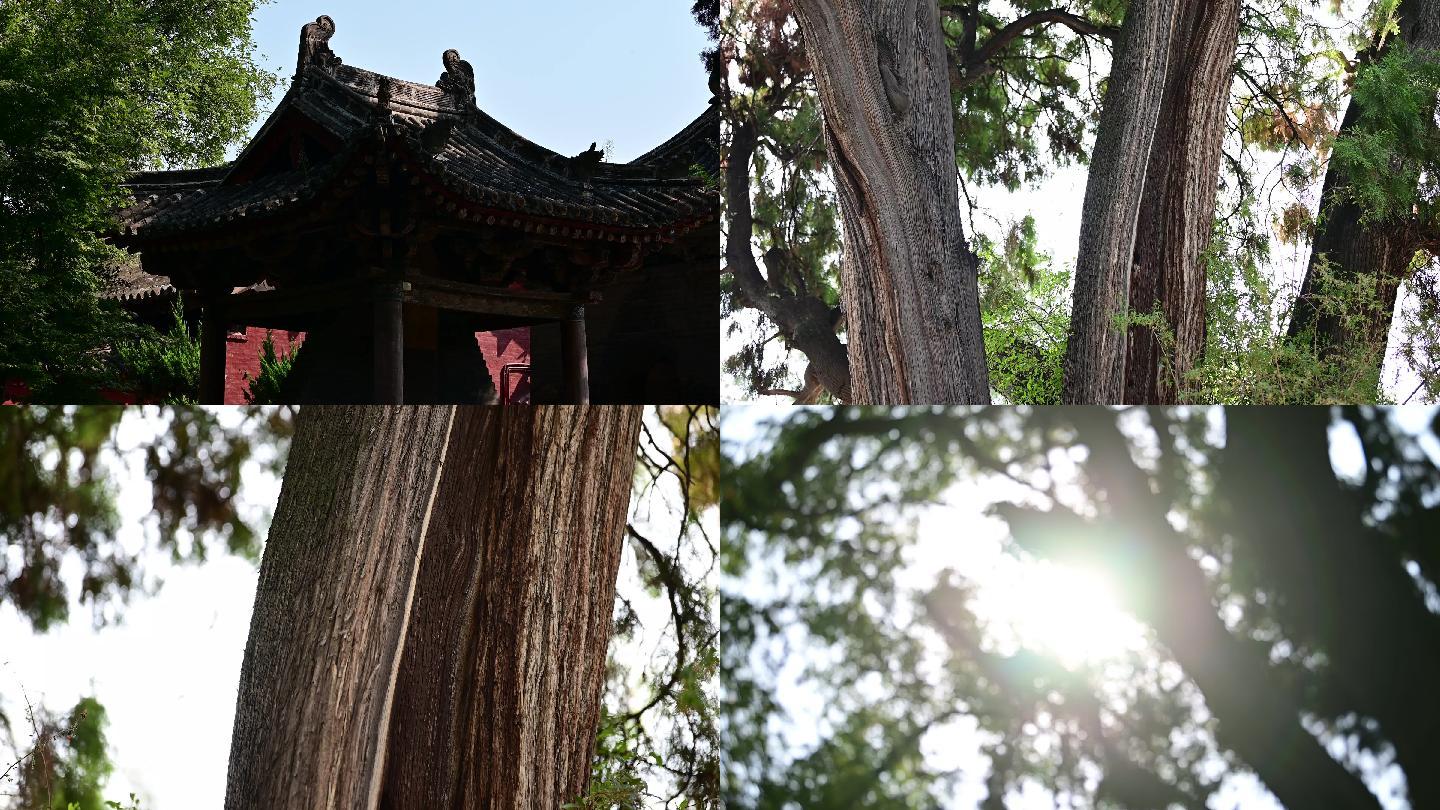 韩城市文庙古建筑实拍9