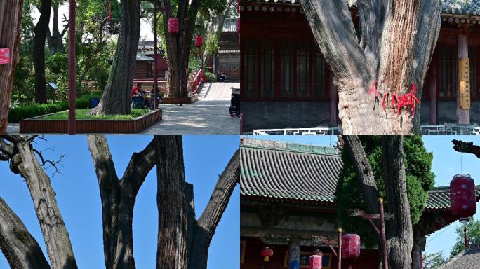 韩城市文庙古建筑实拍15