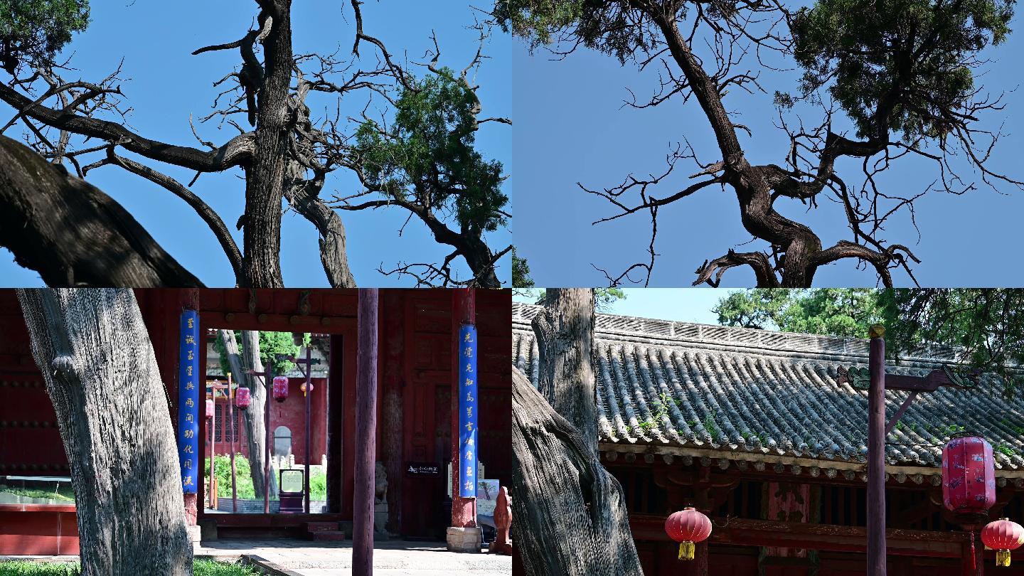 韩城市文庙古建筑实拍10