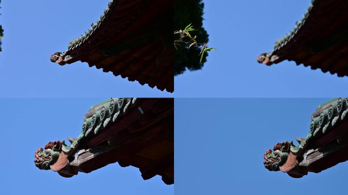 韩城市文庙古建筑实拍17