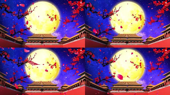 中国风建筑故宫文化梅花星空大月亮背景视频
