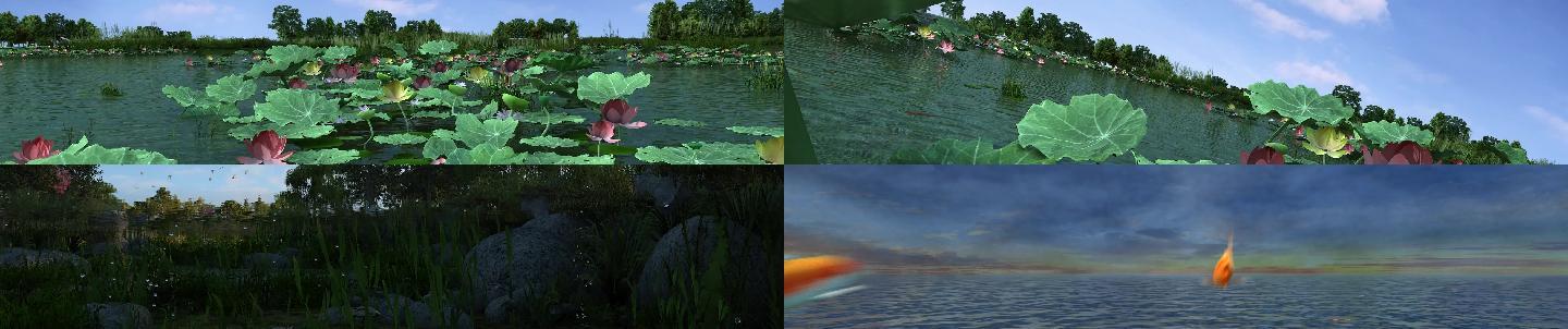 原创3D动画荷花鱼森林