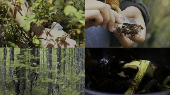 林中野生菌女孩儿采蘑菇