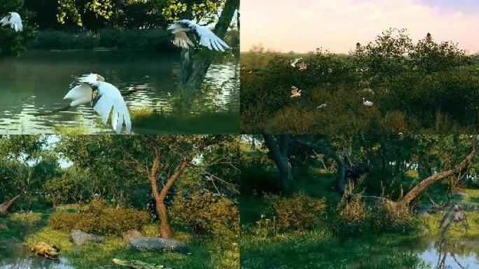 宽屏3D动画天鹅鸟湿地环境