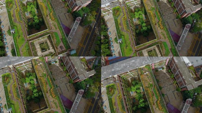 4k航拍，深圳教育玉龙学校的屋顶花园
