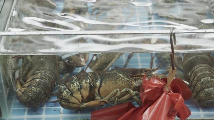 4K螃蟹海鲜海鲜市场虾皮皮虾虾虎梭子蟹