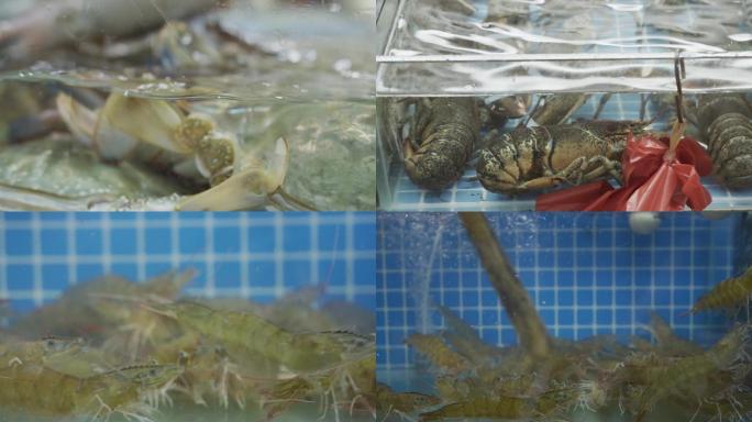 4K螃蟹海鲜海鲜市场虾皮皮虾虾虎梭子蟹