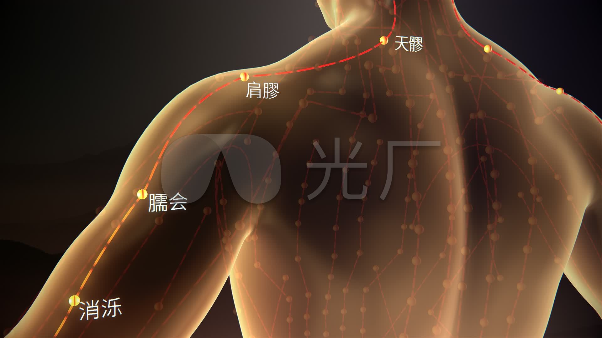 【针灸】肾经、心包经、三焦经经经络循行图！收图！