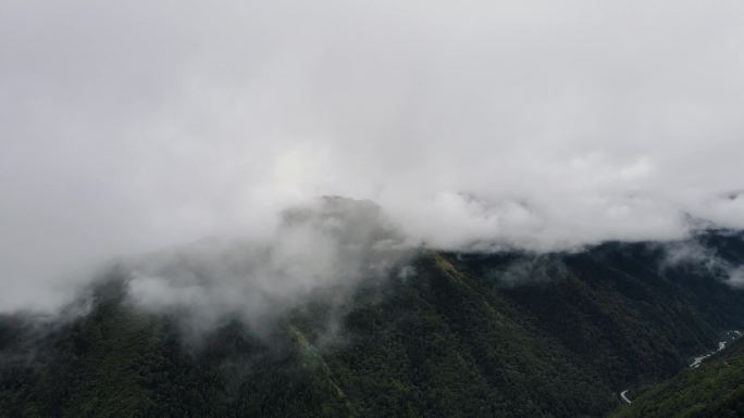 川西高原峡谷云雾航拍巴朗山云雾巴郎山峡谷