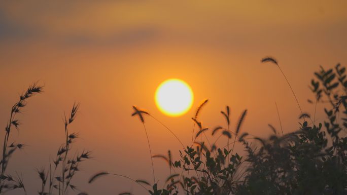 4K太阳夕阳落日延时