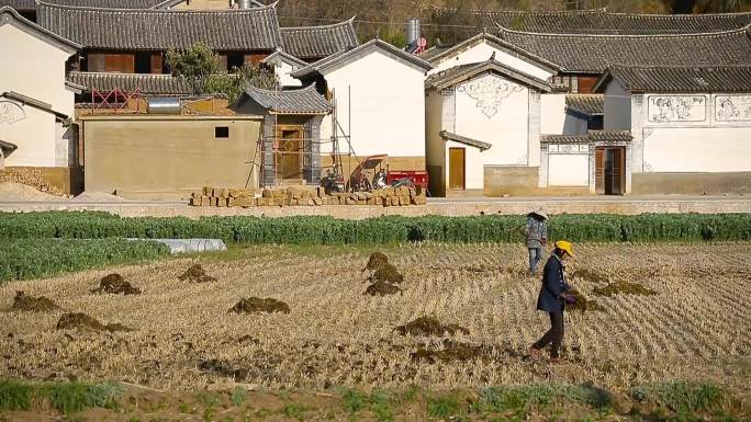 大理民居及农村生活素材